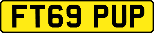 FT69PUP