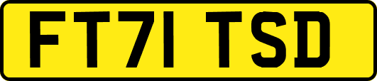 FT71TSD