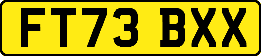 FT73BXX
