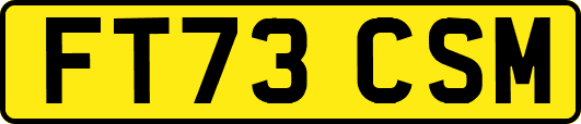 FT73CSM