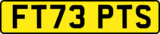 FT73PTS