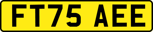 FT75AEE