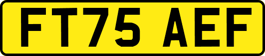 FT75AEF