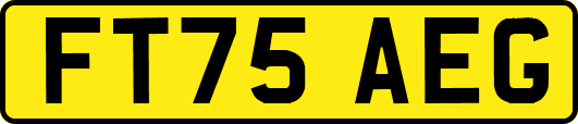FT75AEG