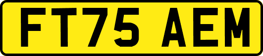 FT75AEM