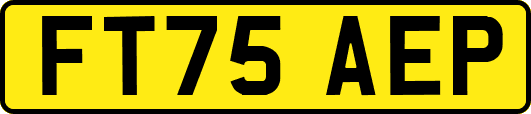 FT75AEP