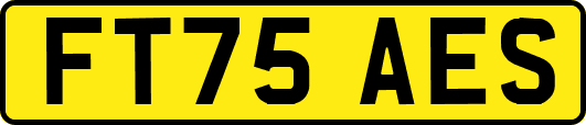 FT75AES