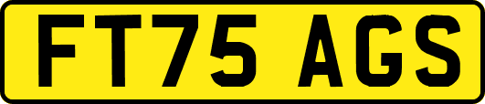 FT75AGS