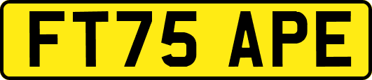 FT75APE