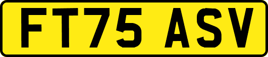FT75ASV
