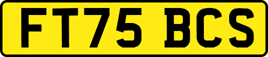FT75BCS