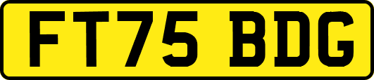 FT75BDG