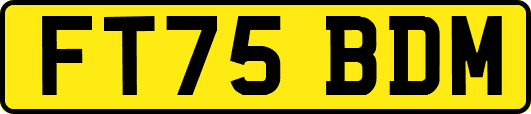 FT75BDM