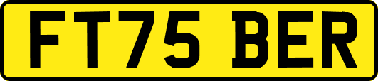 FT75BER