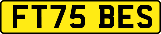 FT75BES
