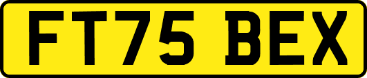 FT75BEX