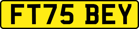 FT75BEY