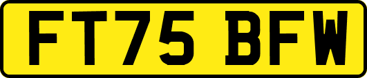 FT75BFW