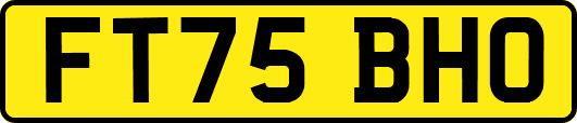FT75BHO