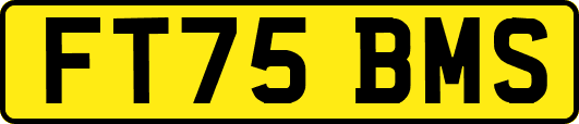 FT75BMS