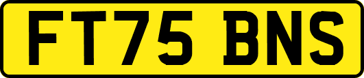 FT75BNS