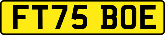 FT75BOE