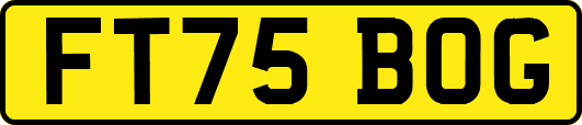 FT75BOG