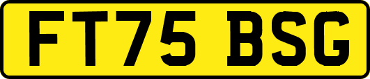 FT75BSG