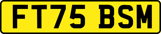 FT75BSM
