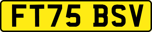 FT75BSV