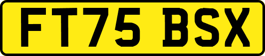 FT75BSX