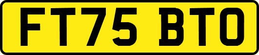 FT75BTO