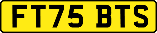 FT75BTS