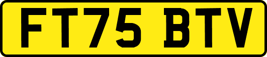 FT75BTV