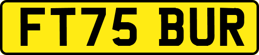 FT75BUR
