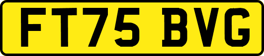 FT75BVG