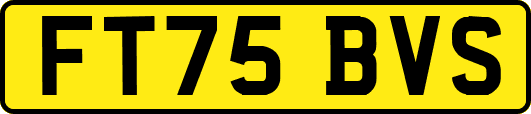 FT75BVS