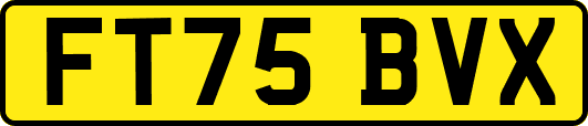 FT75BVX