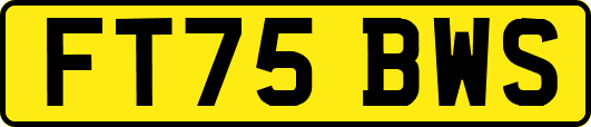 FT75BWS