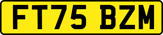FT75BZM