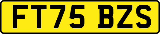 FT75BZS