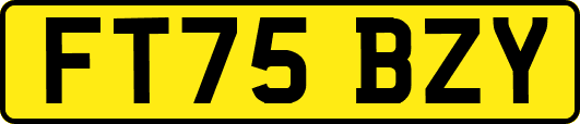 FT75BZY