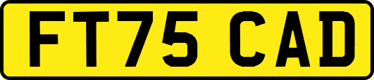 FT75CAD