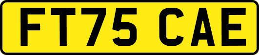 FT75CAE