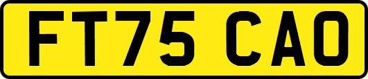 FT75CAO