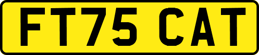 FT75CAT