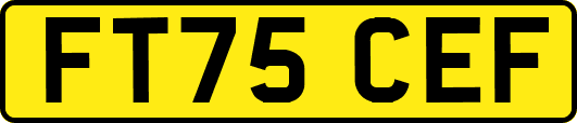 FT75CEF