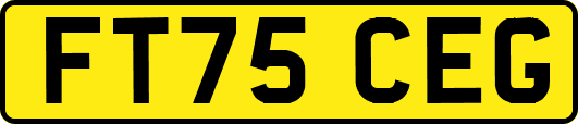 FT75CEG