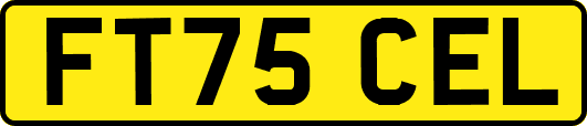 FT75CEL