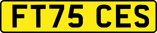 FT75CES